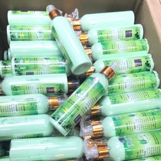 Sữa tắm trắng trà xanh