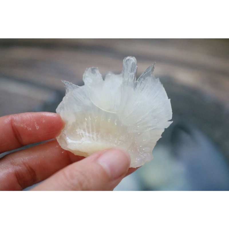 Vi cá size nhỏ nấu súp, canh