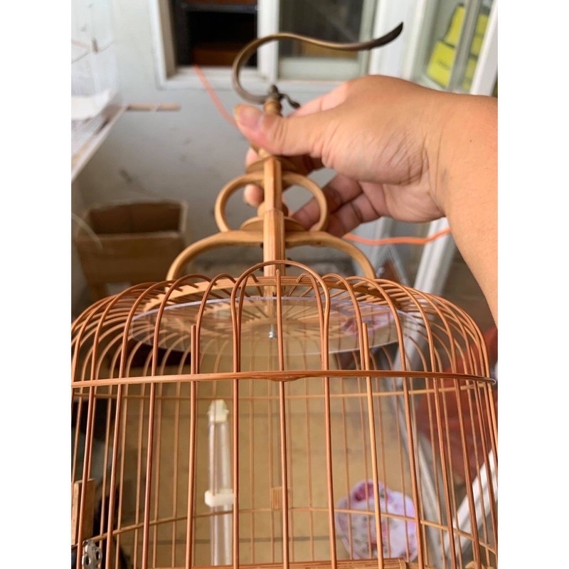 Bịt nóc lồng khuyên Bamboo giúp chim chống ngoái lộn, hạn chế sinh tật