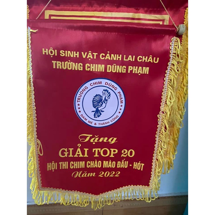 [Ảnh thật tự chụp] Lọ Bổ Sung Đủ Dưỡng Chất Cho Chim - Chuyên Cho Người Chơi Chim Cảnh, Thi Đấu