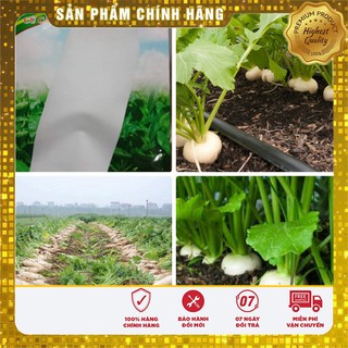 Hạt Giống Củ Cải Trắng(20gr)