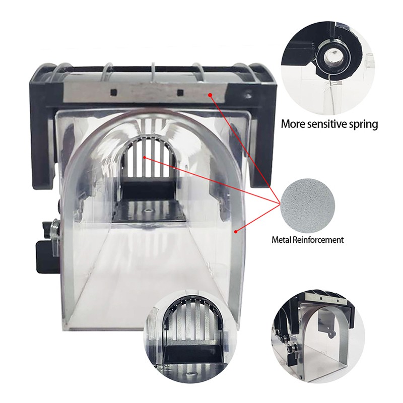 1 Bẫy Bắt Chuột Thông Minh Trong Suốt