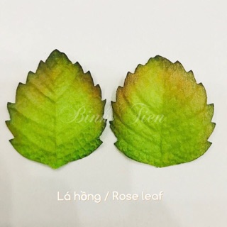 Lá hồng giấy in gân nổi 3d- 50 lá