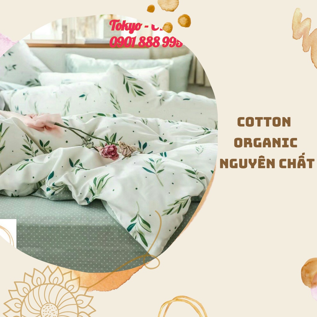 TH Set Chăn ga gối cotton 100% nguyên chất (1 Vỏ chăn, 1 ga, 2 vỏ gối)
