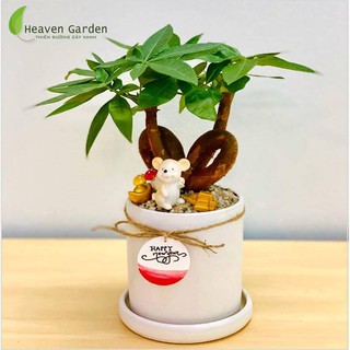 Cây kim ngân nơ kèm tiểu cảnh chuột thần tài may mắn (cây để bàn- phong thủy)