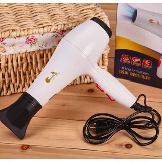 [Sale 50%] Máy Sấy Tóc Siêu Tiện Lợi