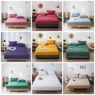 Bộ Ga gối Cotton Tici - Bảng 11 màu chăn ga basic phù hợp homestay