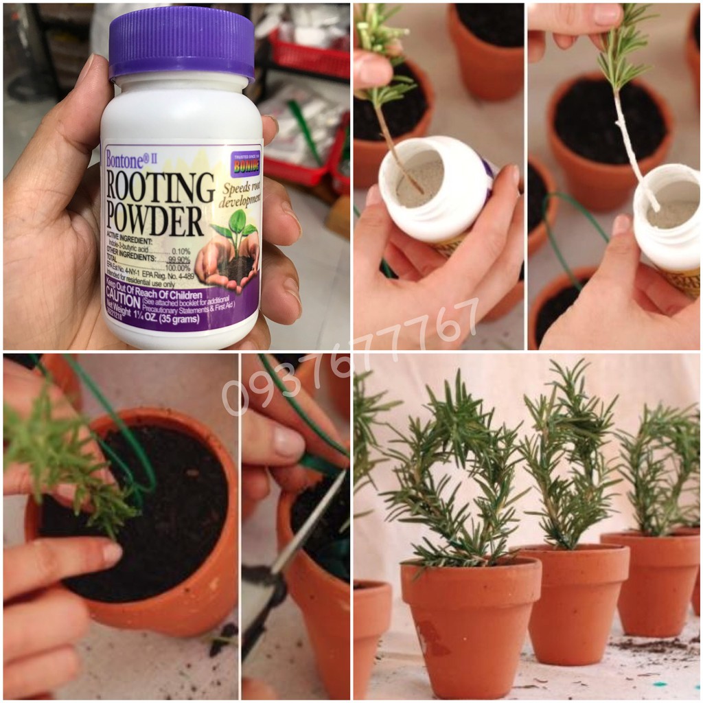 Bột siêu kích rễ Rooting-powder hàng Mỹ lọ 35g