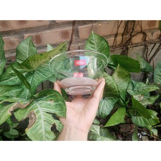 tô thủy tinh chịu nhiệt lock&lock 500ml
