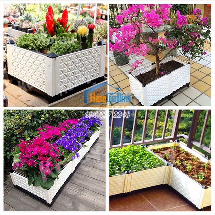 Chậu trồng hoa giấy cao 56cm mẫu đài loan cao cấp ĐL45x45x40cm