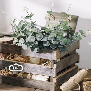 Nhánh cỏ tiền trang trí chụp ảnh, decor nhà cửa, cửa hàng - SkyDecor