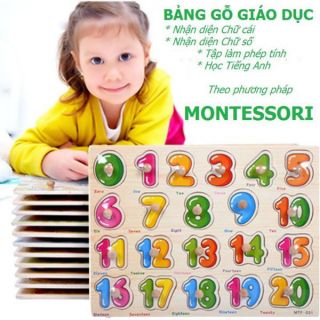 Combo 6 bộ Bảng Gỗ Ghép Hình Có Núm