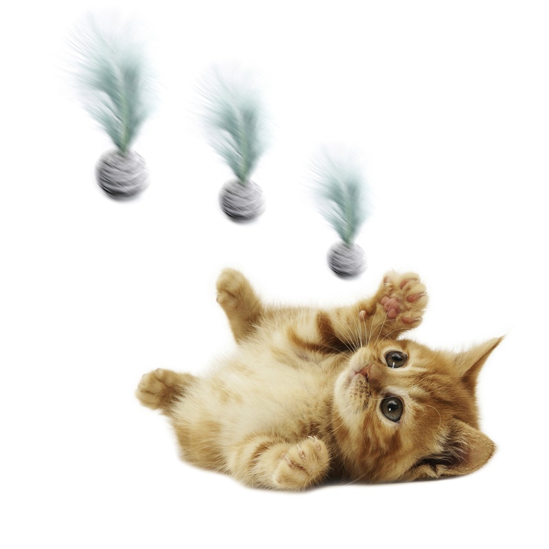 Đồ Chơi Xốp Gặm Tương Tác Với Họa Tiết Bầu Trời Đầy Sao Vui Nhộn Cho Thú Cưng