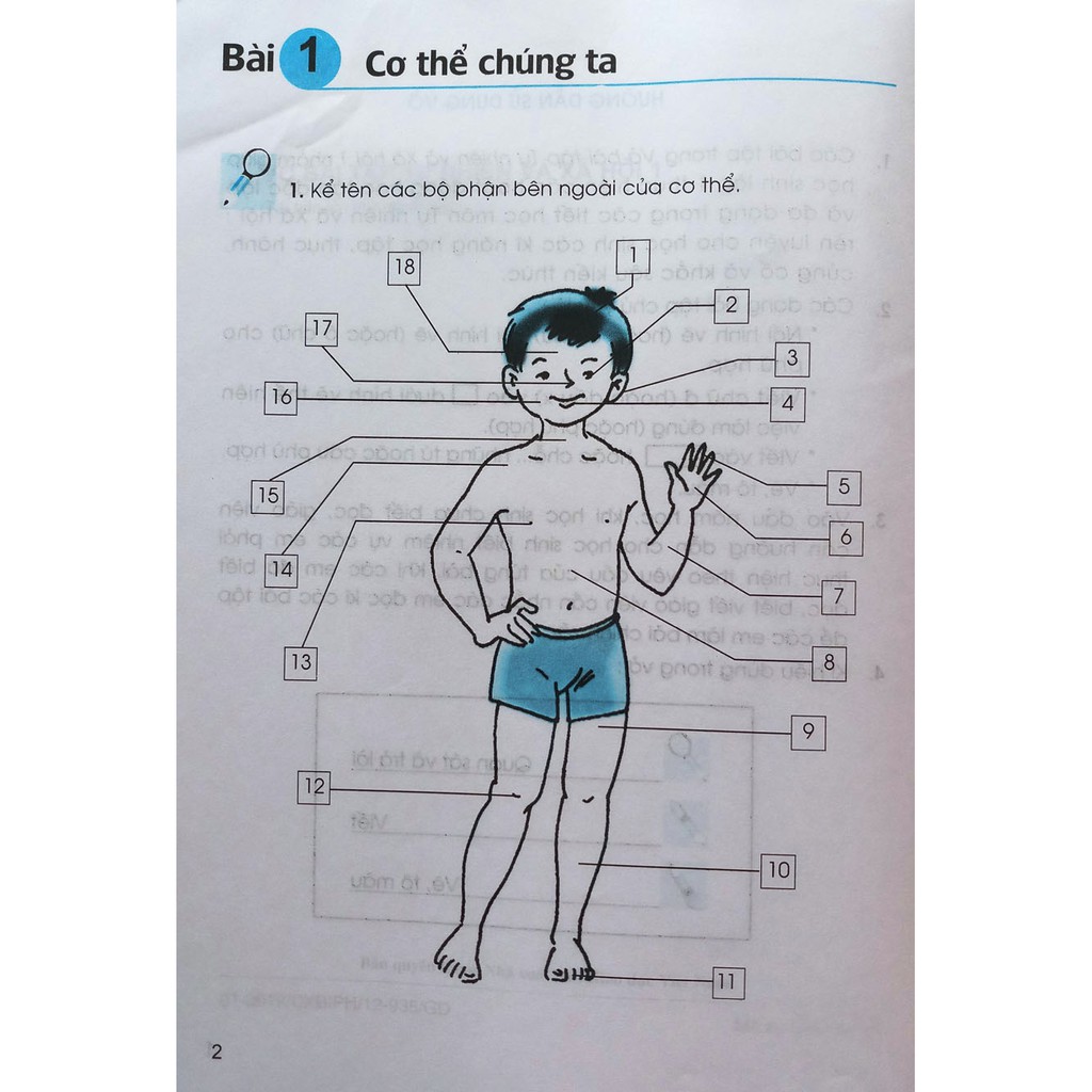 [SÁCH] VỞ BÀI TẬP TỰ NHIÊN VÀ XÃ HỘI LỚP 1 | BigBuy360 - bigbuy360.vn