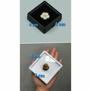 Hộp trưng bày đá hay tượng trang sức . 20 hộp