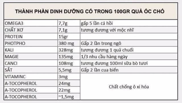 Dầu óc chó Mỹ nguyên chất cô đặc nhà tự ép, không pha tạp chất, không chất bảo quản