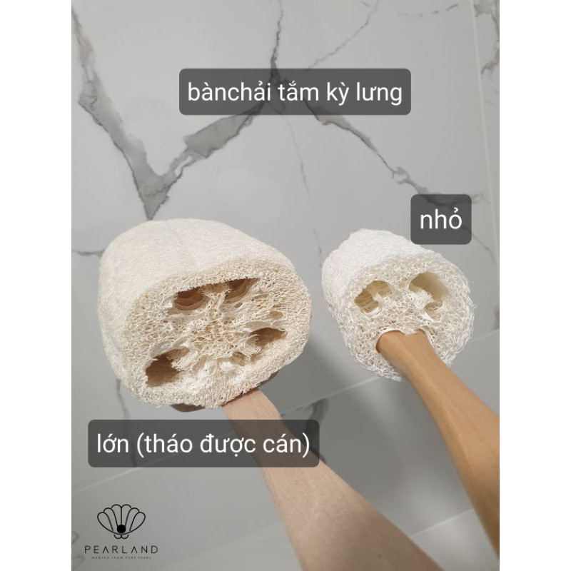 [HÌNH THẬT] Bàn chải kỳ lưng - bàn chải tắm - tẩy da chết từ Xơ mướp tự nhiên