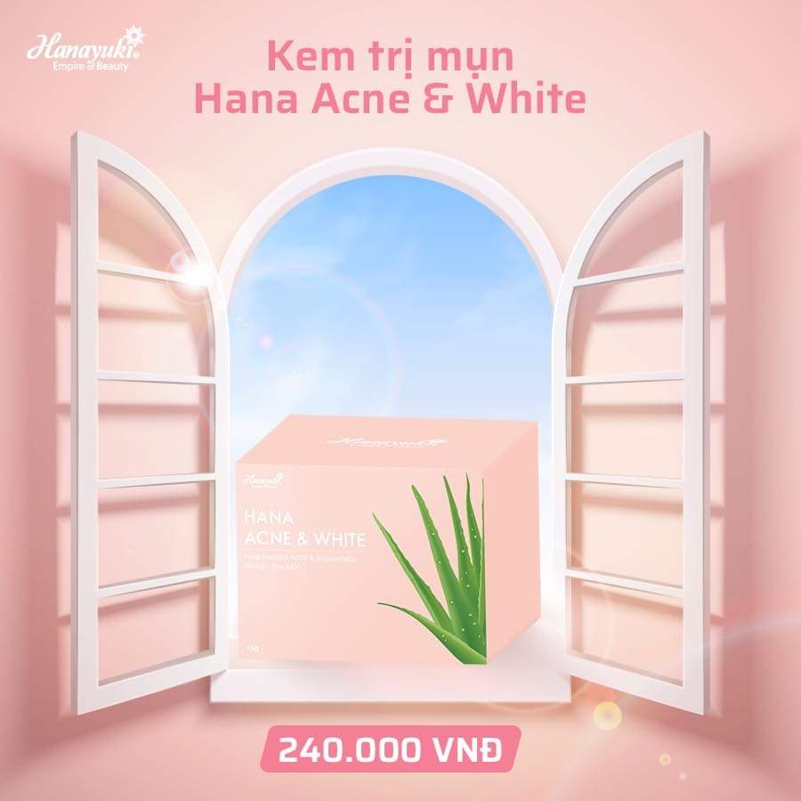 Kem Trị_Mụn Giảm Thâm Làm Trắng Hana Acne White Minisize Chính Hãng 15 Gram - HanayukiAsia