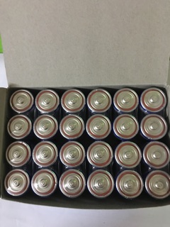 Pin Panasonic R14UT