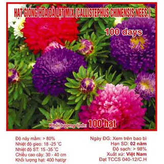100 Hạt giống Cúc Đà Lạt Mix 