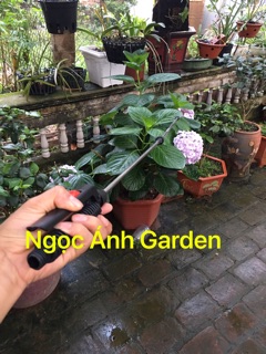 Combo phụ tùng thay thế của bình xịt DUDACO