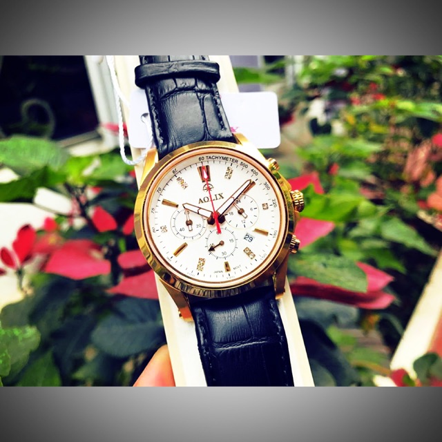 Đồng Hồ Nam Chính Hãng AOLIX - AL7050G