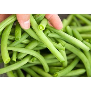 Hạt giống đậu đũa dài tỷ lệ nảy mầm >90% 20g