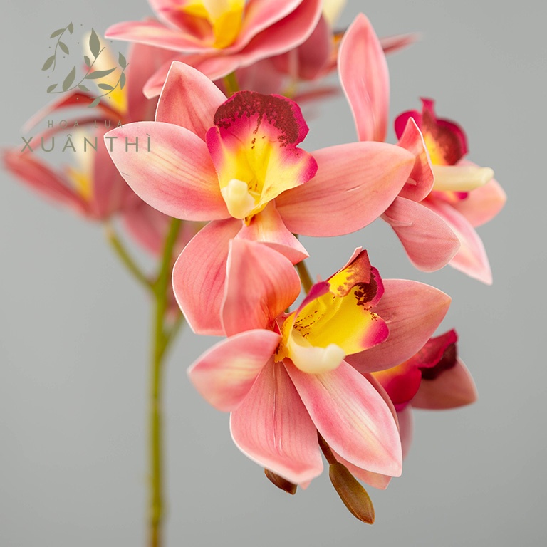 Hoa giả trang trí hoa lụa Xuân Thì - Cành hoa địa lan trang trí decor màu cam, trắng, vàng, hồng - 1 cành 10 hoa - HL19