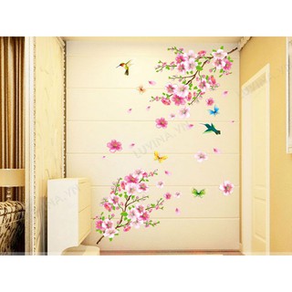 Decal dán tường Hàn Quốc- trang trí nhà cửa, văn phòng, cửa hàng, quán cafe- ĐÀO PHAI