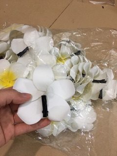 Ảnh thật hoa sứ cái tóc