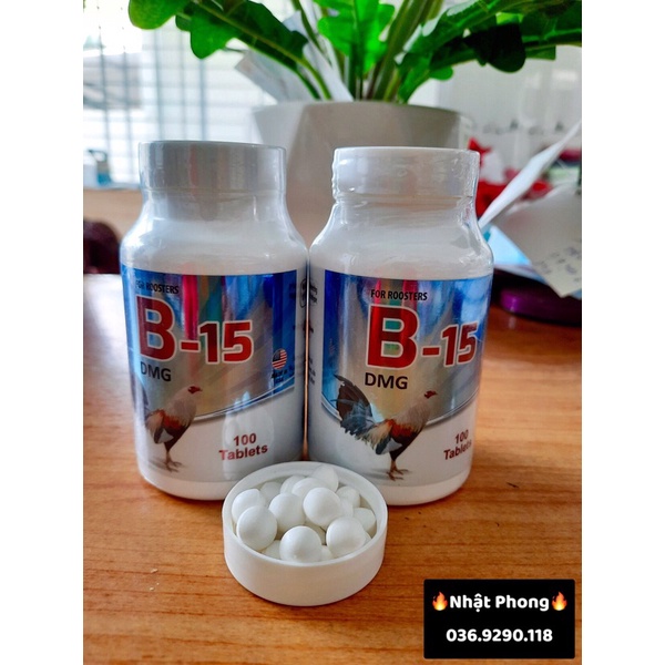 B15 DMG -