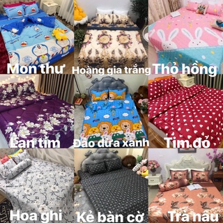 Set Chăn ga gối  cotton POLY