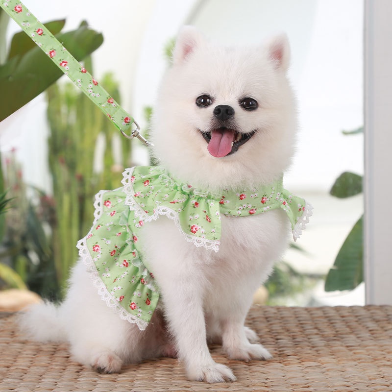 Dây Đeo Cổ Họa Tiết Hoa Phối Ren Xinh Xắn Cho Thú Cưng