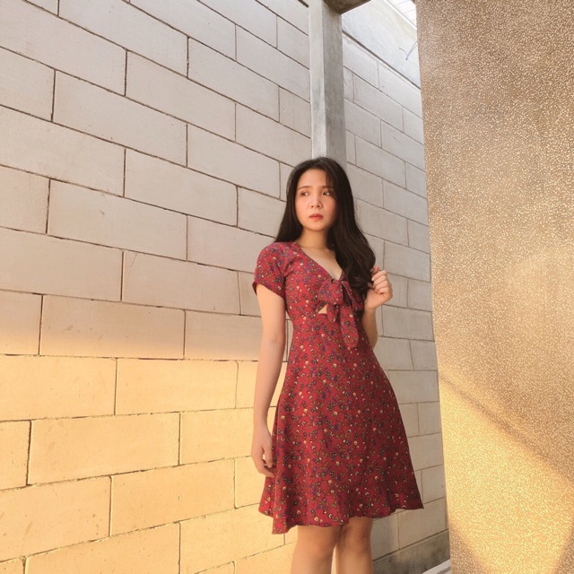 ĐẦM HOA NHÍ THẮT NƠ