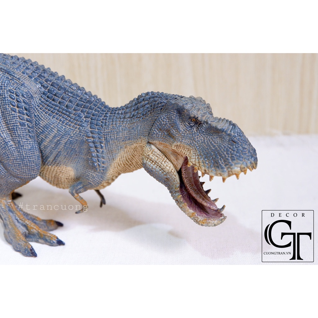 Mô hình Khủng Long T-rex - Dành cho trẻ 3 tuổi trở lên