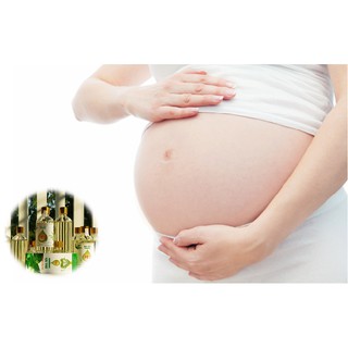 Tinh dầu tràm cao cấp Hoa Nén