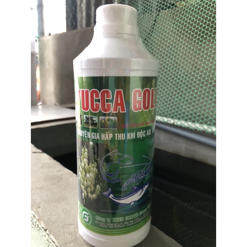 Yuca - hấp thụ khí độc ao/hồ