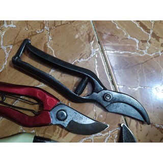 Kéo cắt cành nội địa Nhật
