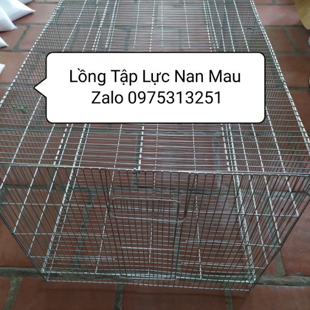 Lồng Tập Lực Nan Mau Chim Cảnh