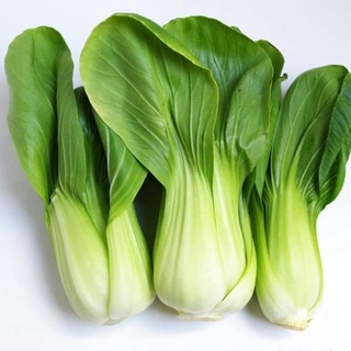 Hạt giống rau cải thìa/ cải chip - giòn, ngọt, bổ dưỡng - mua 3 tặng 1 cùng loại