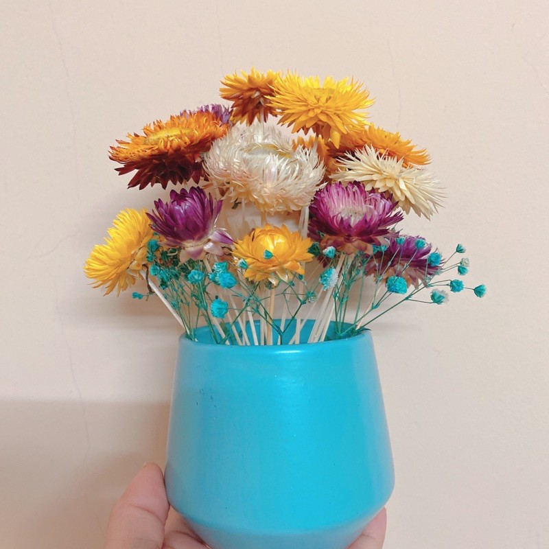 Lọ hoa cúc bất tử mix baby cực xinh (Size lớn)