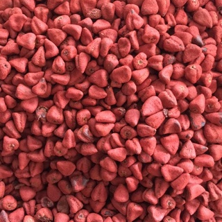 Hạt điều màu/ Hạt cari gói 100g