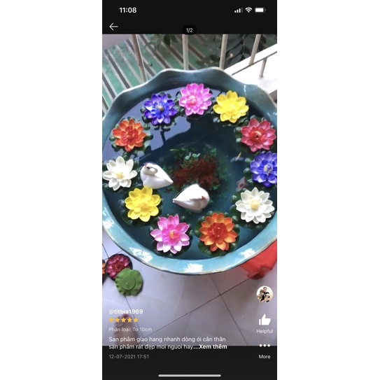 Hoa sen thả nồi trang trí phong thuỷ , tiểu cảnh 10cm