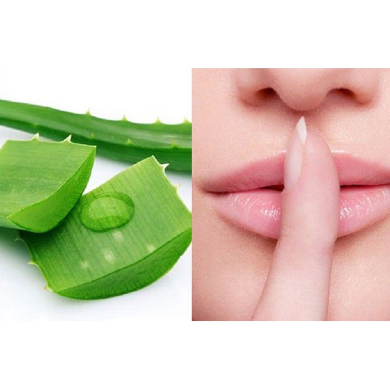 Son Thỏi Dưỡng Môi PeiYen Aloe Vera Auth Nội Địa | BigBuy360 - bigbuy360.vn