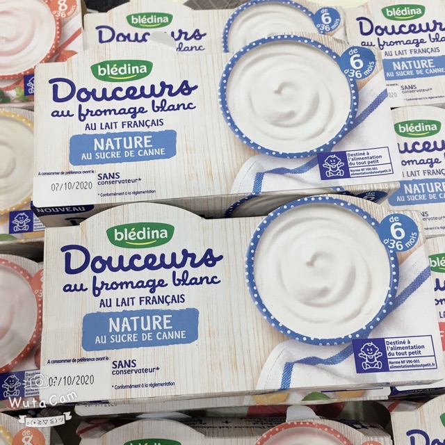 Sữa chua Bledina đủ vị cho bé từ 6M