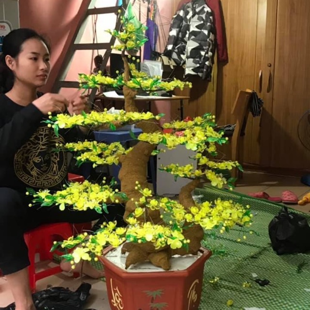 Gốc bonsai mẫu tử 60cm