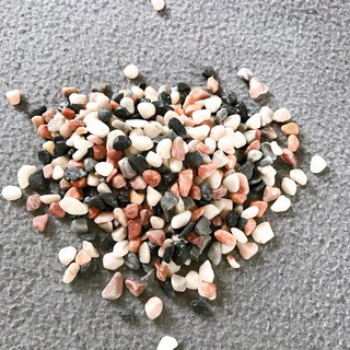 1kg Sỏi Nhiều màu, Trang Trí Hồ Cá Cảnh, Hồ Thủy Sinh, Mang Thiên Nhiên Lại Gần Nhau Hơn