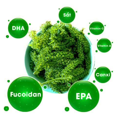 (Combo) rong nho tách nước khánh hòa 25gr + 1 gói mè rang kewpie 15ml | BigBuy360 - bigbuy360.vn