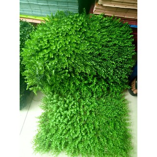 COMBO 20 tấm cỏ treo tường loại 1