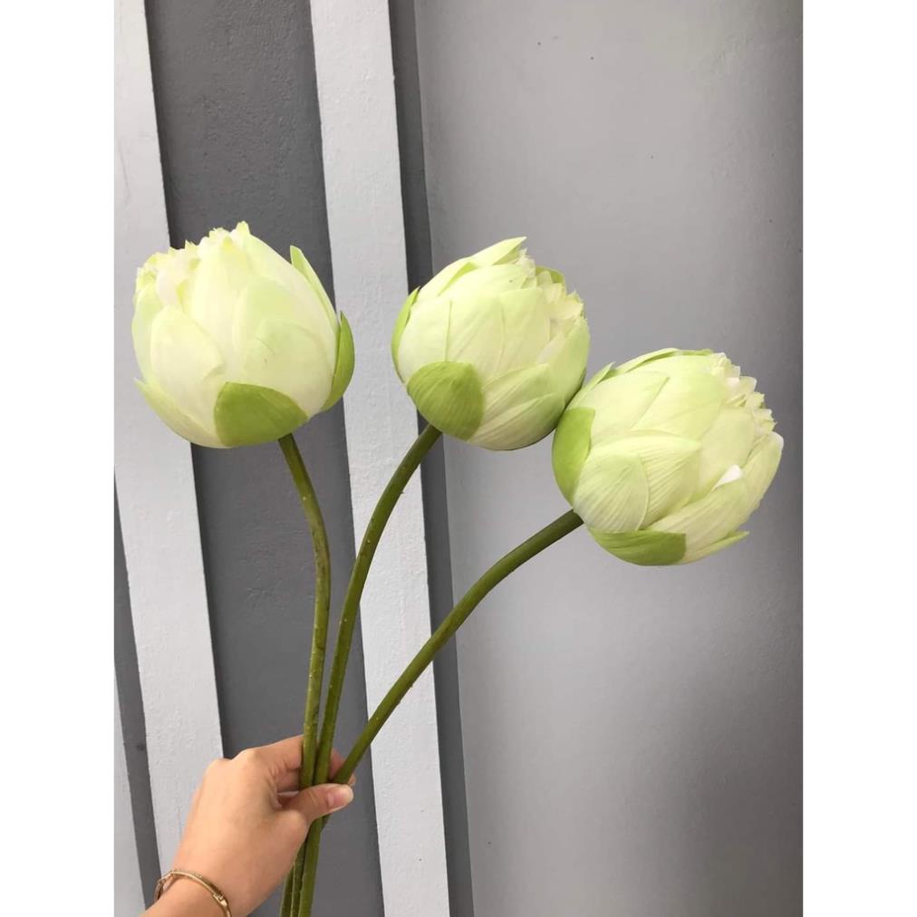 Hoa Sen giả bách diệp quan âm cao cấp màu trắng và hồng 1 cành dài 80 cm - Hoa lụa đẹp decor cắm lọ xinh chụp studio